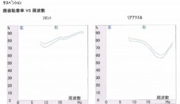 ルーテシア3RS サスペンションテストの結果<br>CLIO3&LUTECIA3RS 足廻りの変更