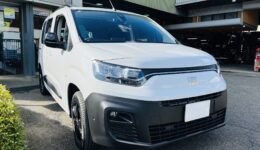 SessA ノンダストブレーキパッド for FIAT Doblo (ドブロ)