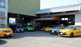 沢山のルーテシア＆クリオが集まっています