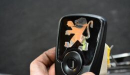 ライオンマークの再現で逃げたライオンを取り戻せ!