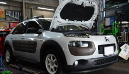 C4カクタス MCB セットアップ