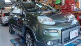 中古車情報：FIAT Panda 4×4